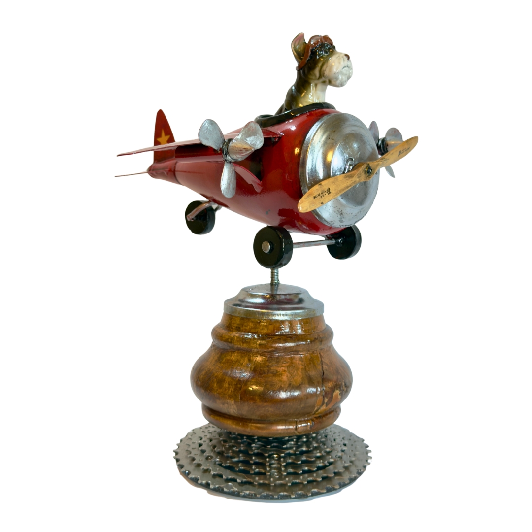sky king